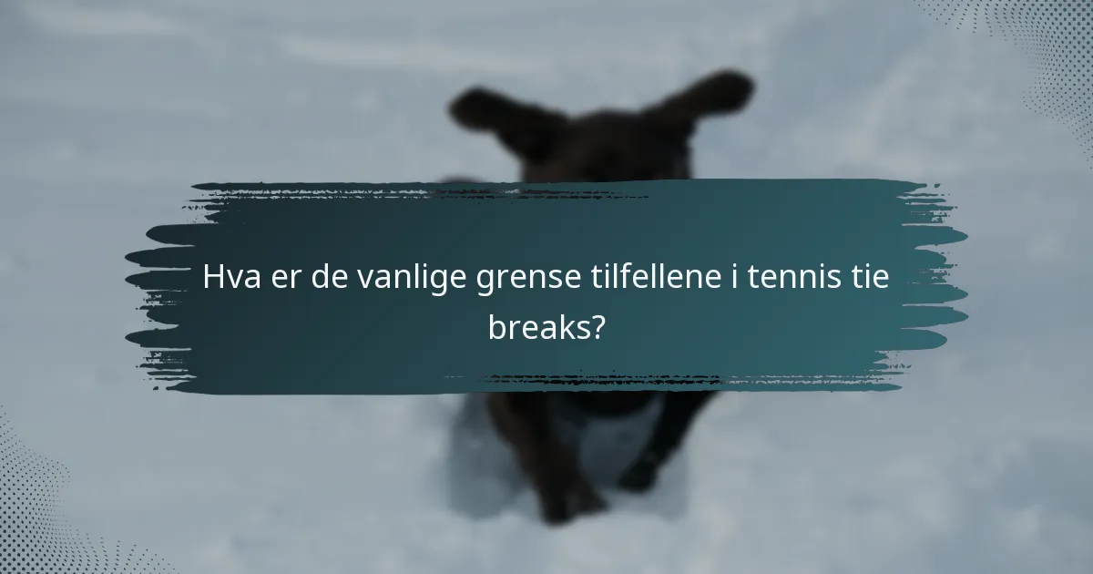 Hva er de vanlige grense tilfellene i tennis tie breaks?