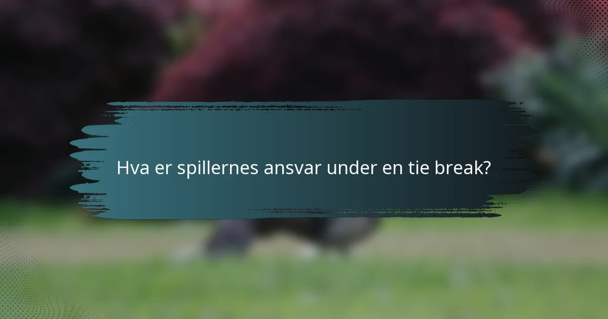 Hva er spillernes ansvar under en tie break?