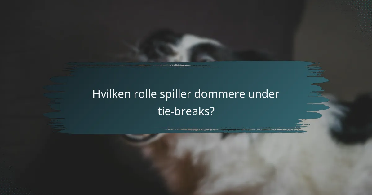 Hvilken rolle spiller dommere under tie-breaks?