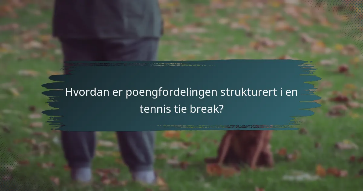 Hvordan er poengfordelingen strukturert i en tennis tie break?
